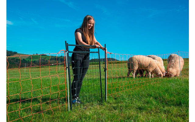 Horizont Hotgate Tor für Farmer Hundezaun
