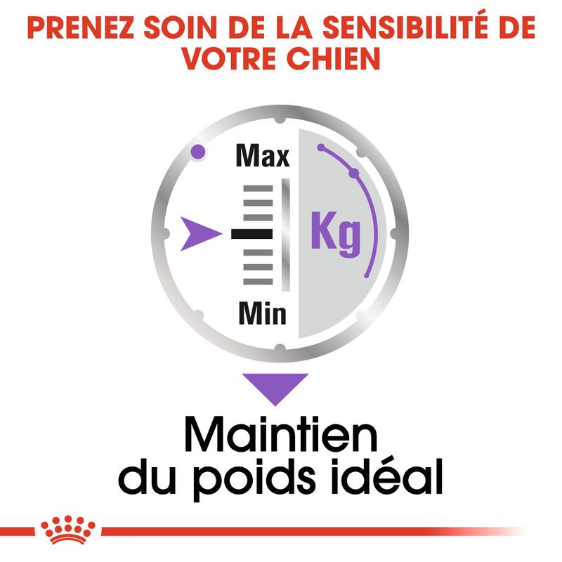 Royal Canin Sterilised en mousse