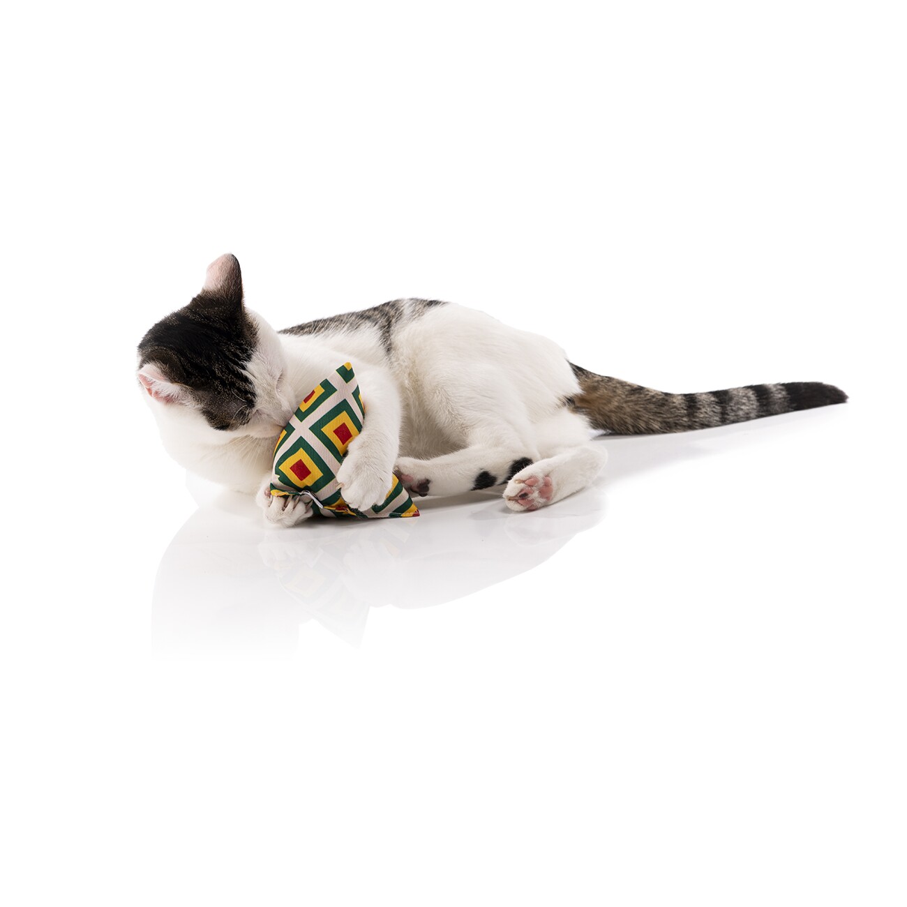 Canadian Cat Company Catnipspielzeug 6x Schmusepyramide Reggae Dot