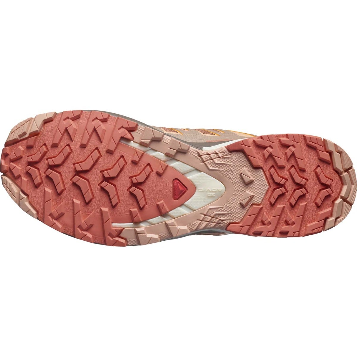 Salomon  Xa Pro 3D V9 Dames