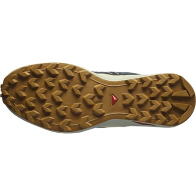SalomonSpeedcross Peak - schwarz
