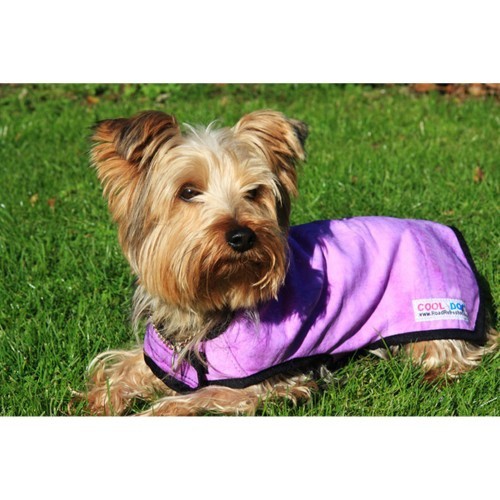 Casaco refrescante Cool Dog para cães, rosa