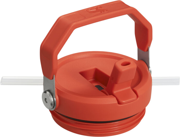 Stanley IceFlow Flip Straw Tumbler 0. 89L