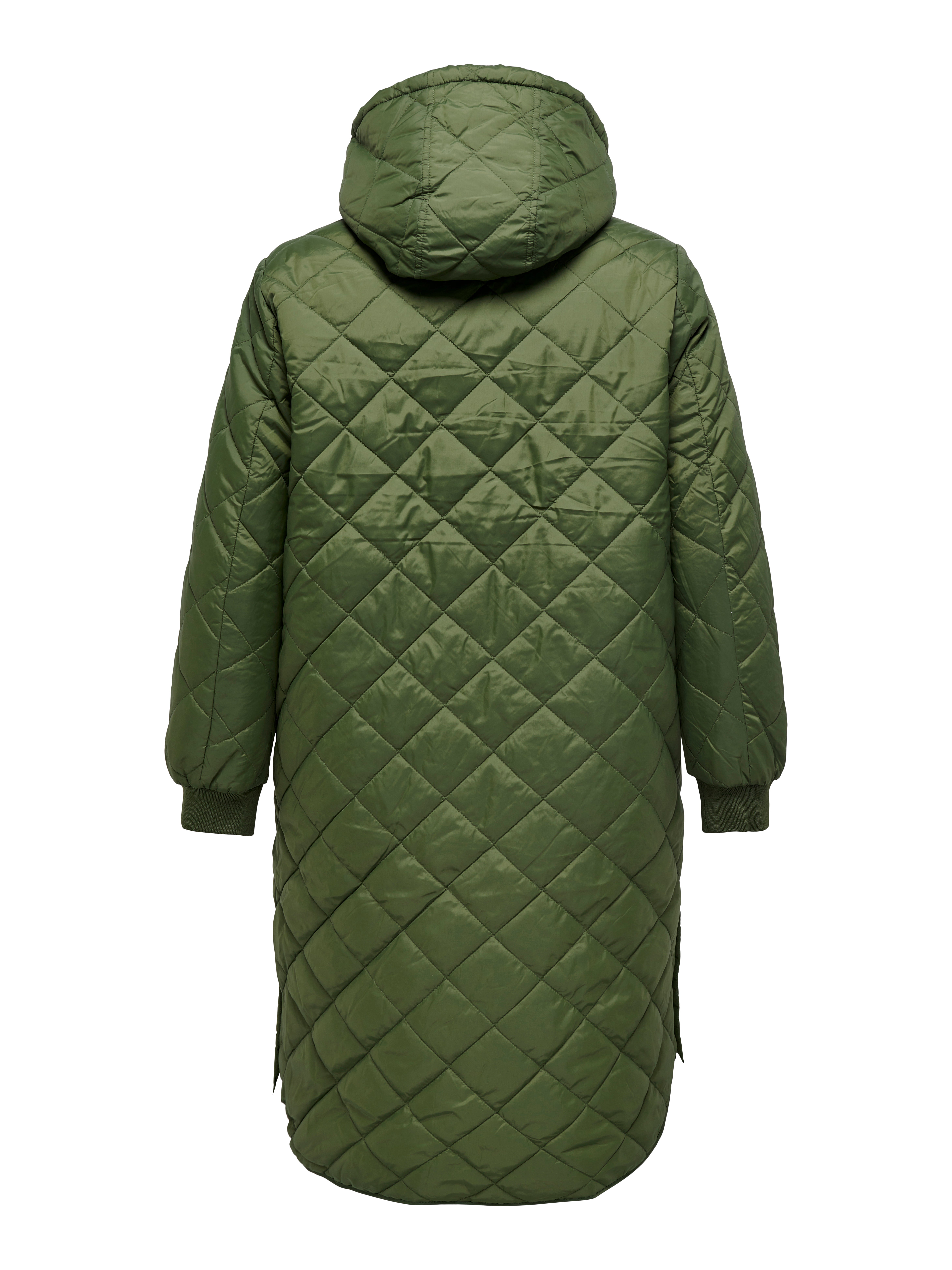 CARNEWSANDY Steppjacke Winter Moss