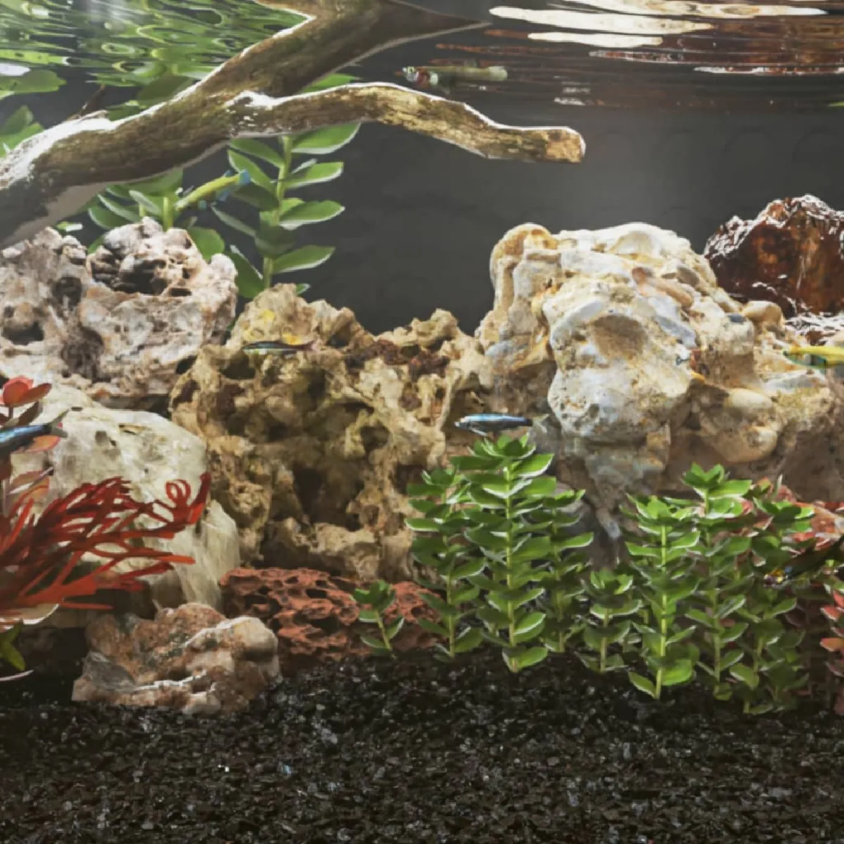 vidaXL Pierres Dragon Aquarium