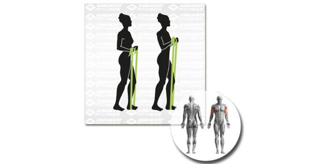 Schildkröt Fitness Fitnessbänder Fitnessbänder-Set mit zwei Stück