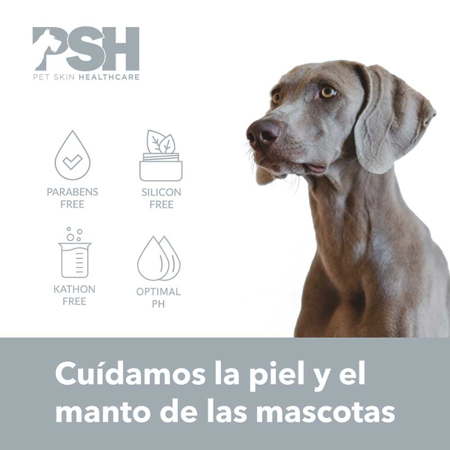 Shampoo espumante específico para seborreia em cães PSH