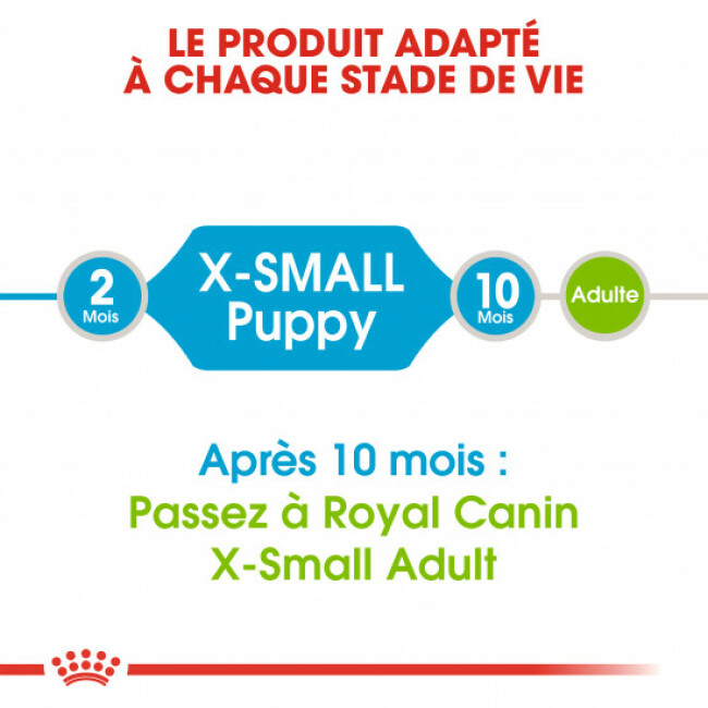 Croquettes Royal Canin X-SMALL Puppy Junior