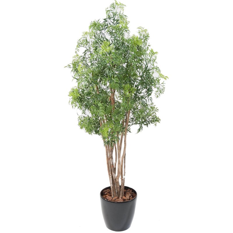 Plante artificielle d'intérieur Aralia Ming Nitidia 160 cm