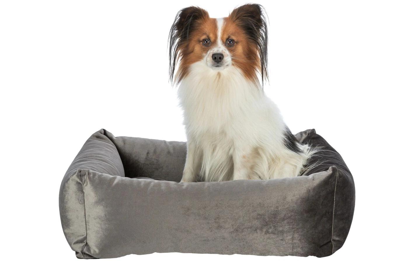 Hunde-Bett Malia, 65 cm x 55 cm, DunkelgrauHundeschlafplatz