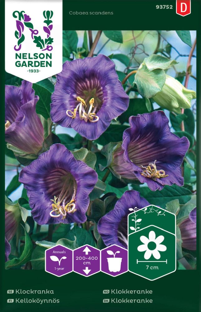 BLOMSTERFRØ NELSON GARDEN KLOKKERANKE