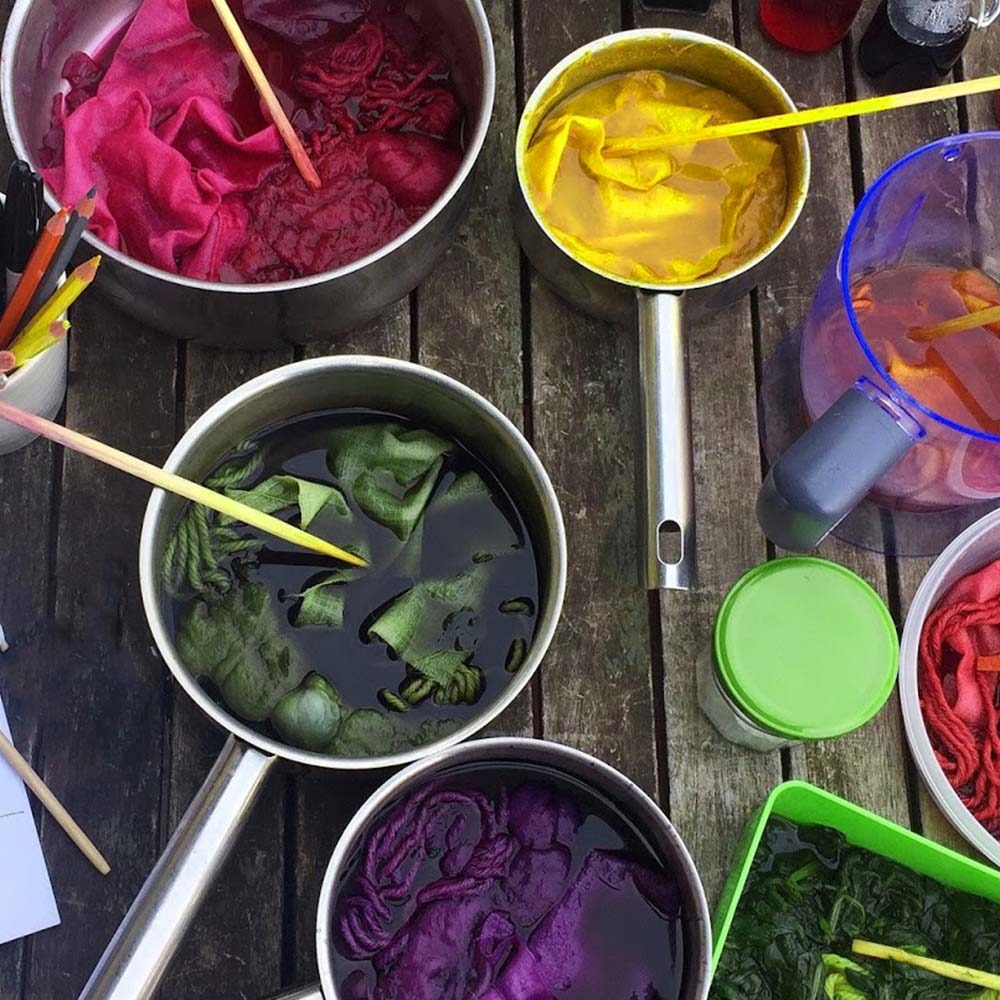 Coffret de semences tinctoriales colorants primaires