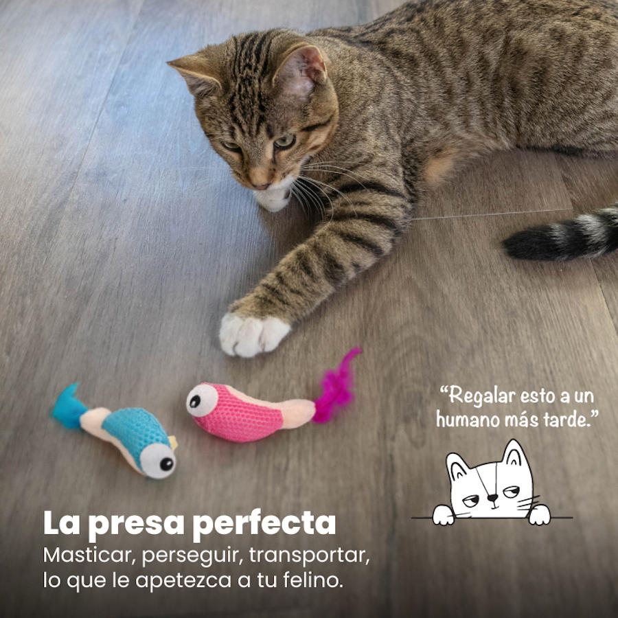 Brinquedos de pelúcia Outward Hound Catstages Dental Shrimpies com penas para gatos