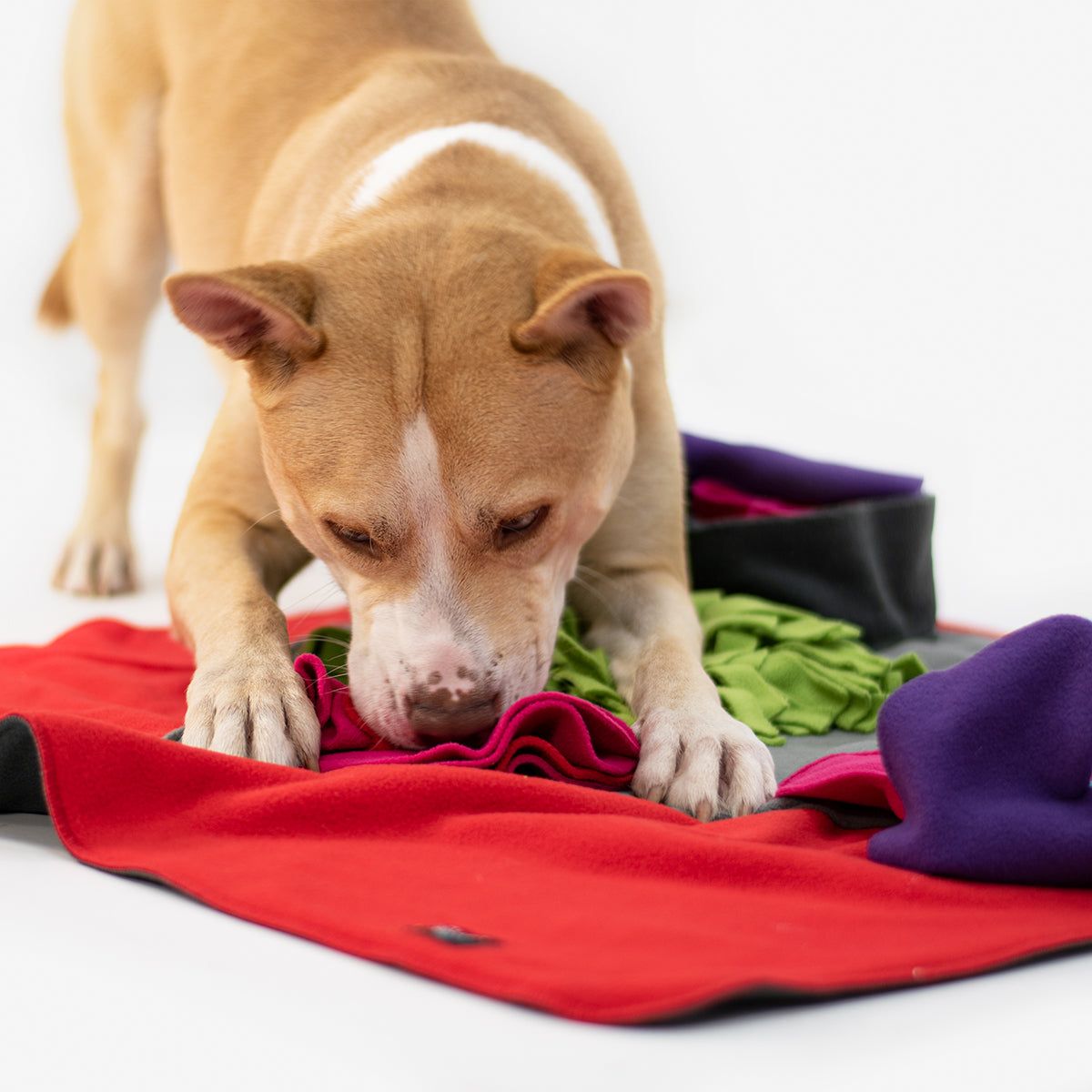 Sniffpad Heart - Knauder's Best
