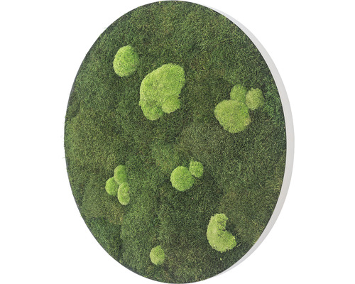 Mosschilderij bos & bolmos ellipsoïde Ø 54 cm