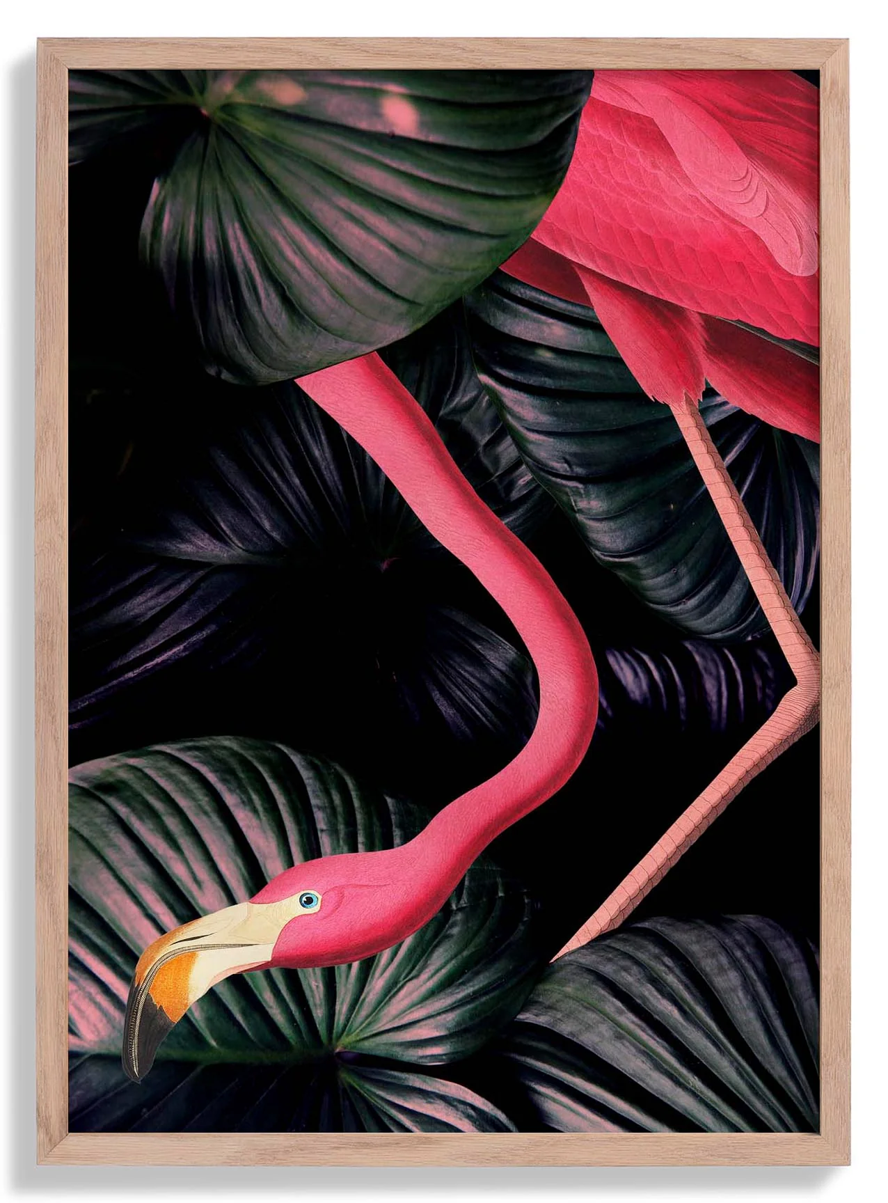 Amerikanischer Flamingo im Dschungel-Tierdruck