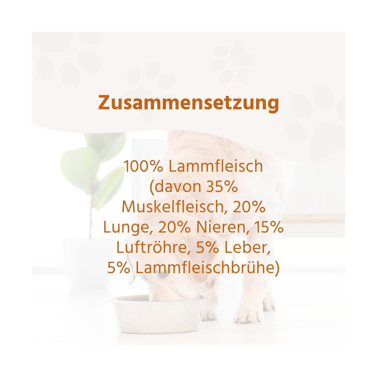 Wildfang Nassfutter Mix 6 x 400g - BARF Qualität