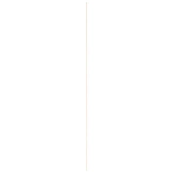 Afdeklijst grenen 6x44 mm lengte 270 cm