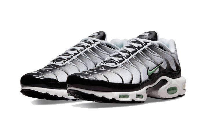 Nike Air Max Plus Seafoam Grey Black