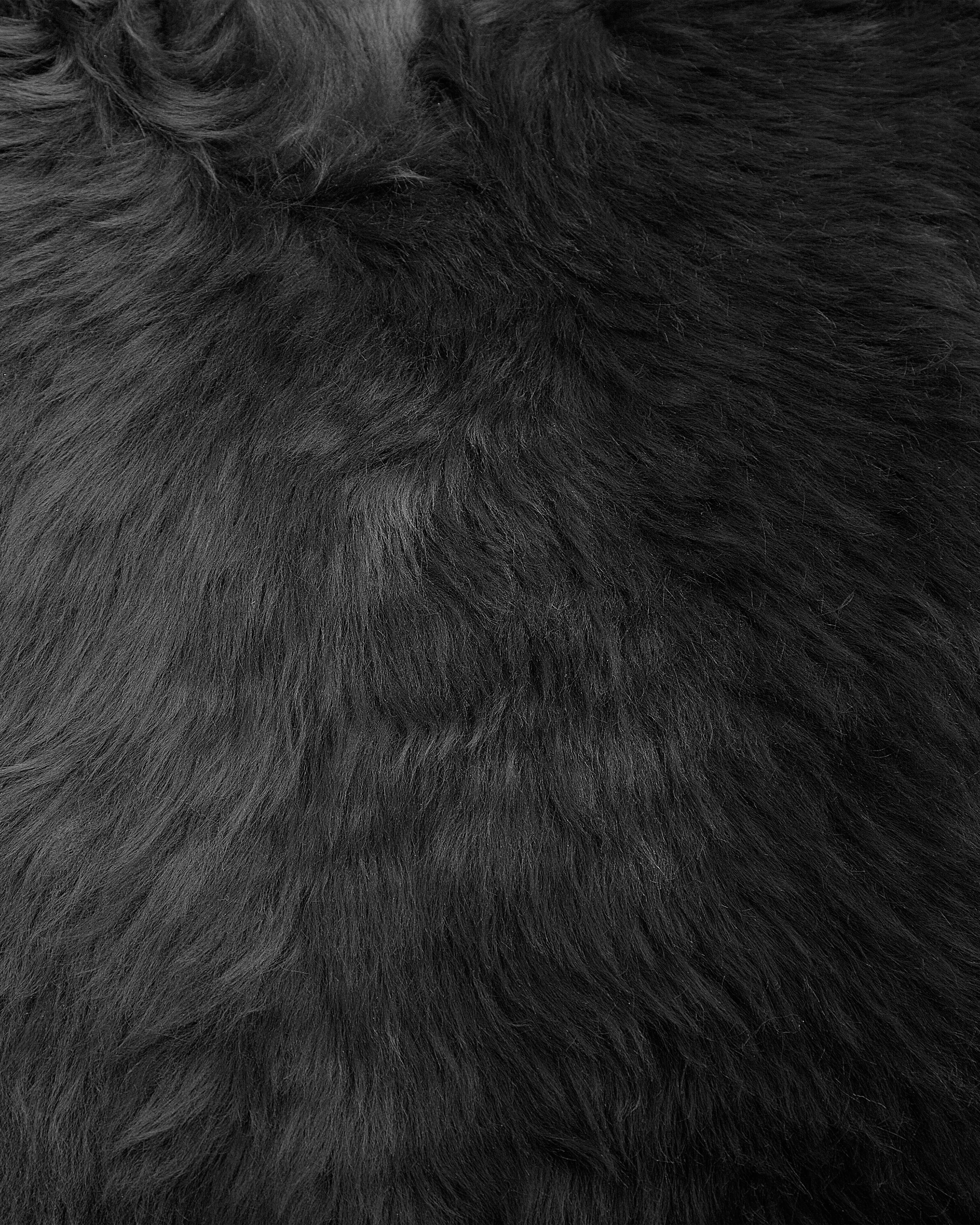 Schapenvacht ULURU Zwart 65 x 110 cm