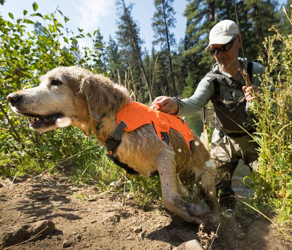 RUFFWEAR® Hundegeschirr Web Master™