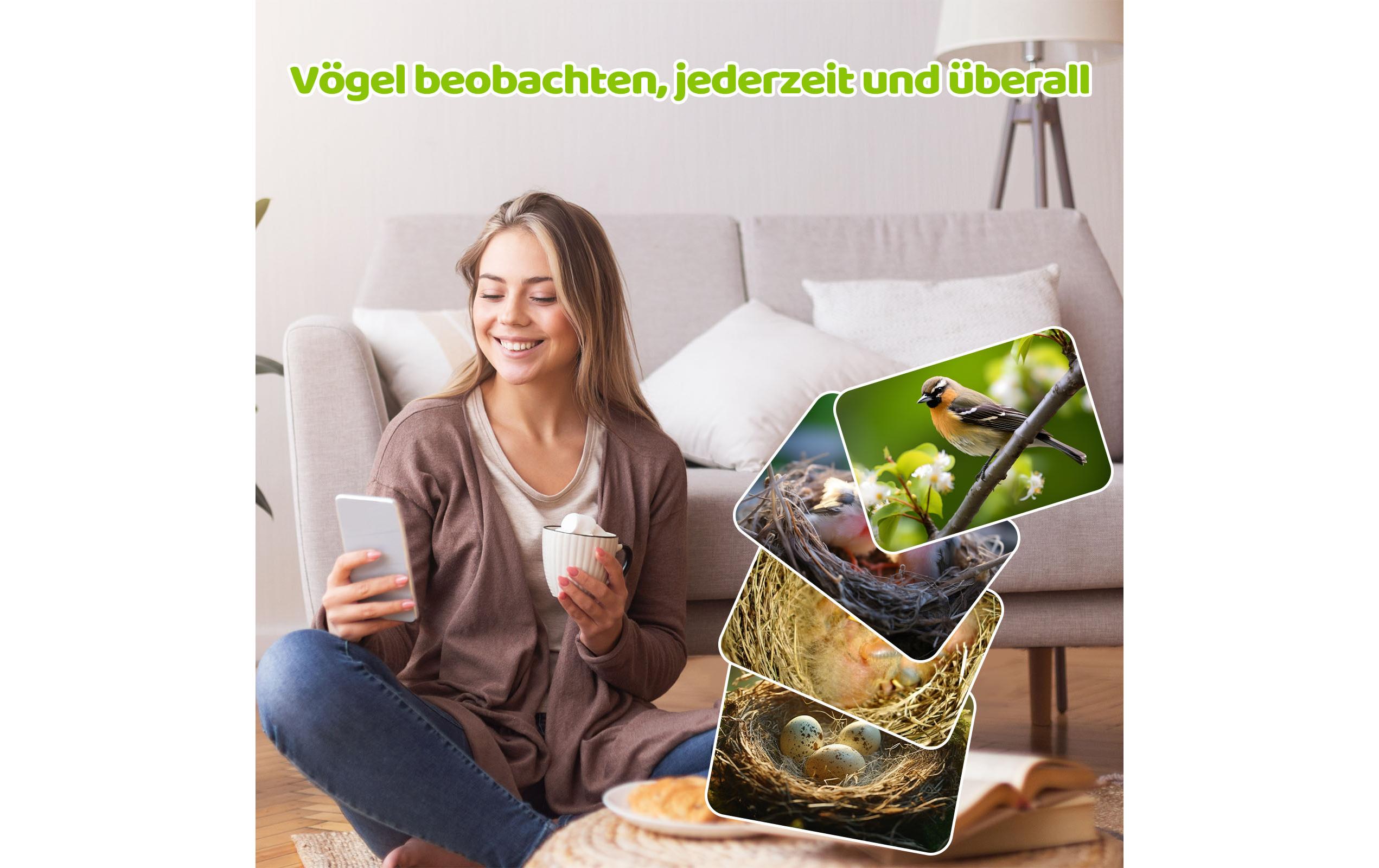 Vogel Nistkasten mit Kamera, Solarpanel inklusive<br>Nistkasten aus Holz mit Sonnenkollektor