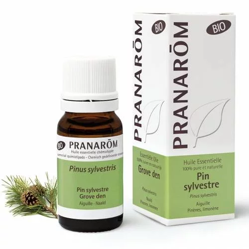 Pin sylvestre - 10 ml Aiguille bio
