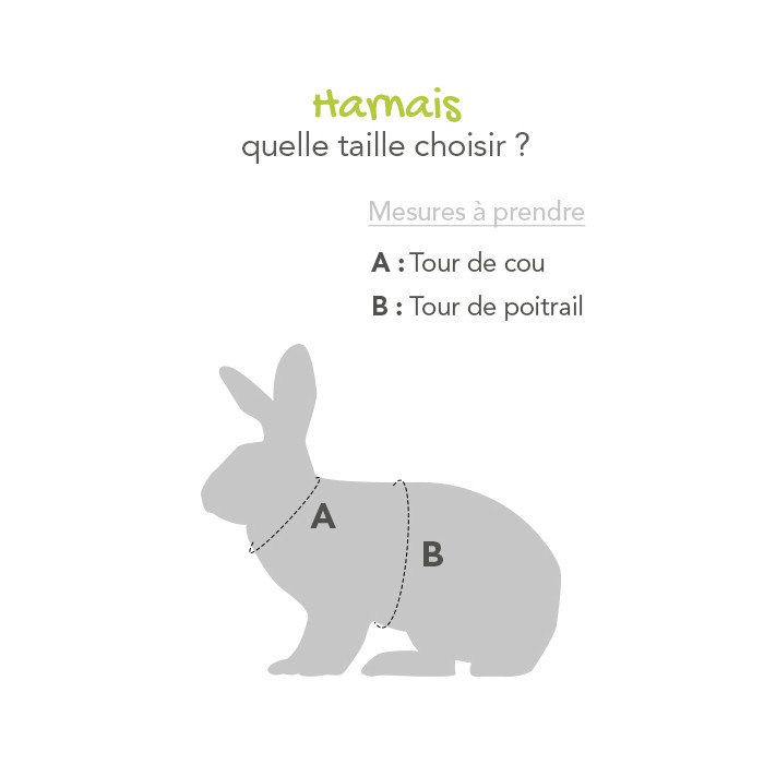 Harnais Sport