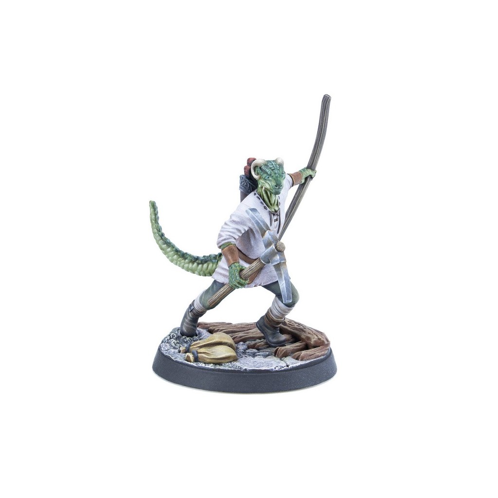 The Elder Scrolls: Call to Arms – Adventurer Followers