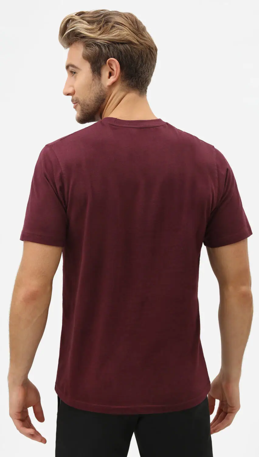 Dickies Horseshoe T-Shirt | SkatePro