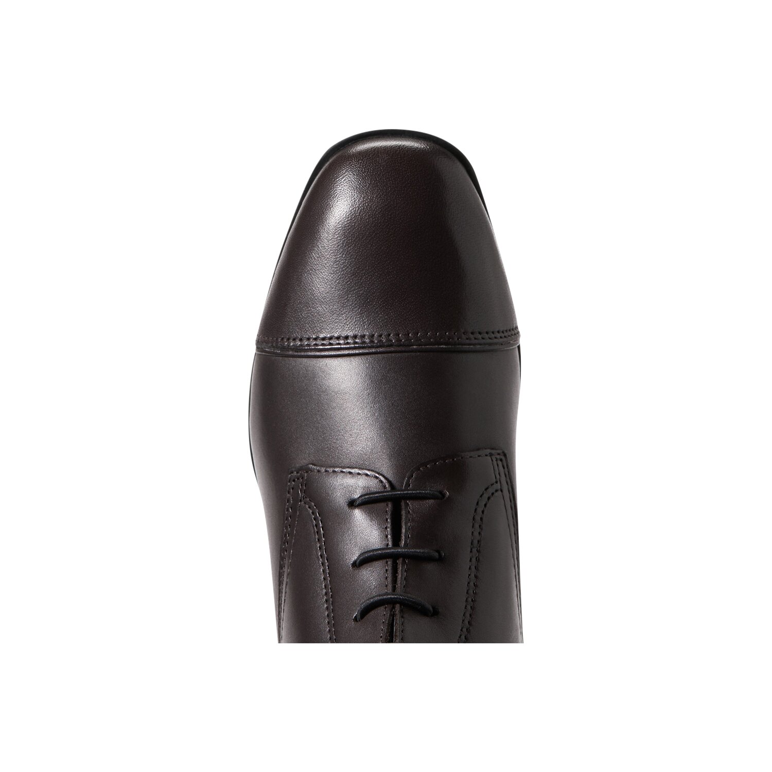 ARIAT Reitstiefel Women's Palisade  - cocoa