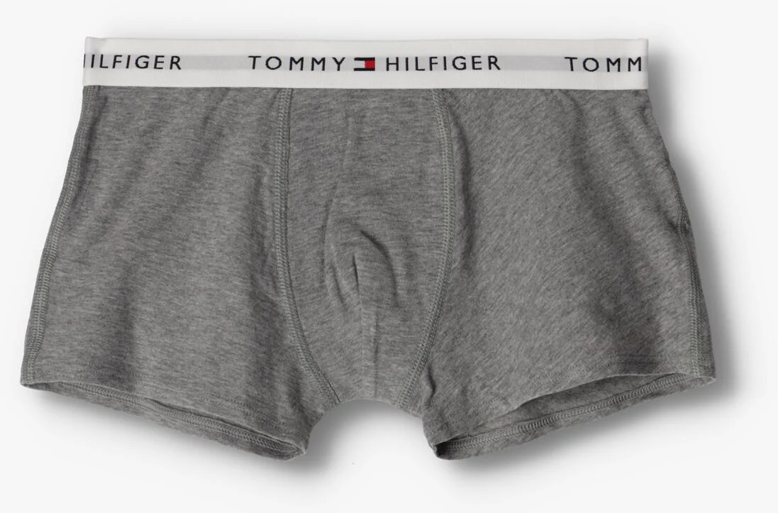 TOMMY HILFIGER UNDERWEAR grijze tommy hilfiger underwear boxershort 2p trunk boxer th