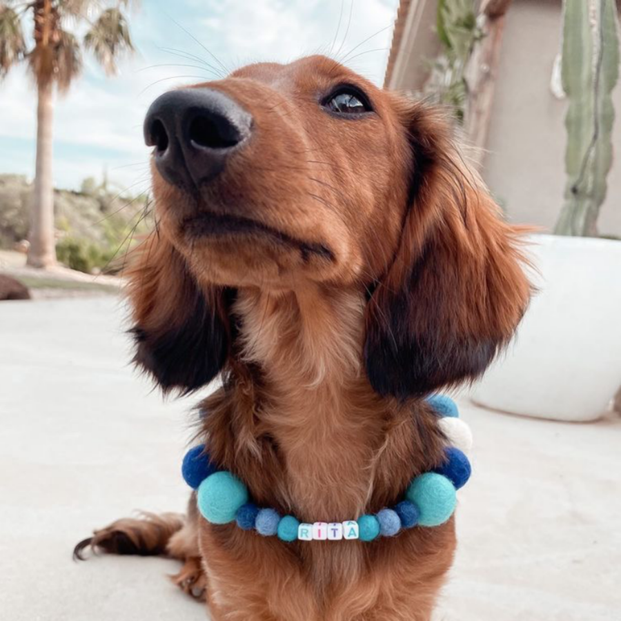 Coleira personalizada para cães com pompons