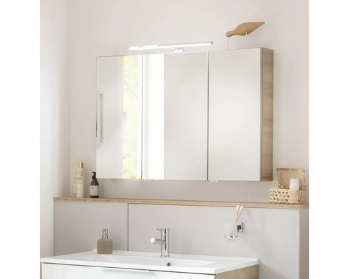FACKELMANN B.Brillant spiegelkast, 100 x 15,1 x 68 cm, eikenhout, 2-deurs, LED, IP 20