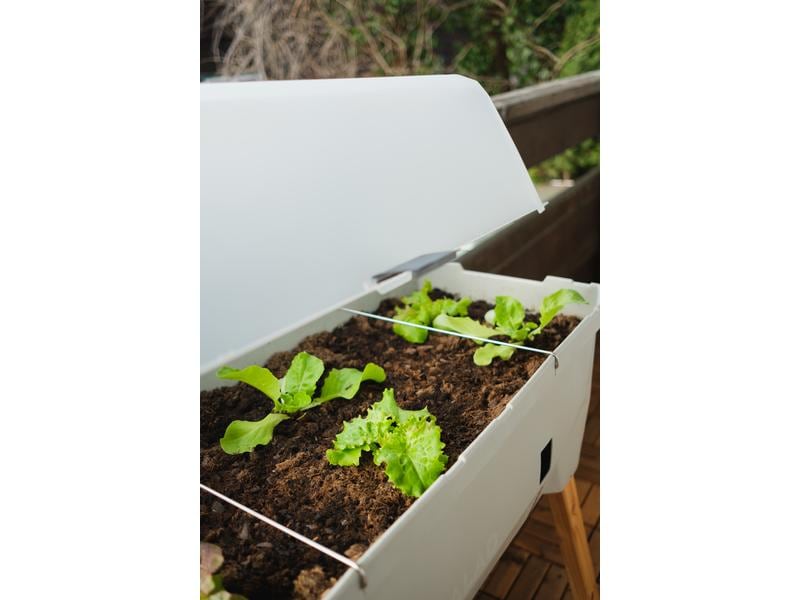 Gusta Garden Hochbeet SAMMY SALAD Starterset, Hellgrau Hochbeet mit Wassertank und Haube