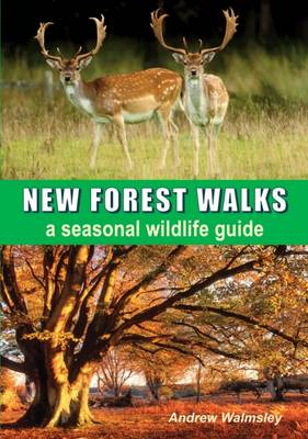 New Forest Walks: A Seasonal Wildlife Guide (Paperback)