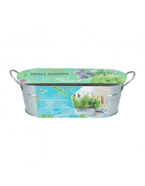 Buzzy Small Garden Tasty Kitchen Herbs - Kweeksets - per stuk