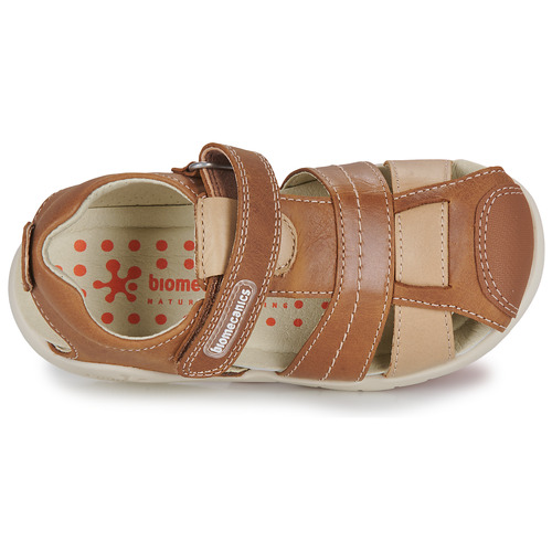 Biomecanics - 232258 - Cognac