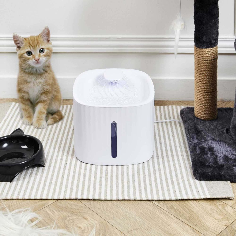 Fontaine à eau pour chat