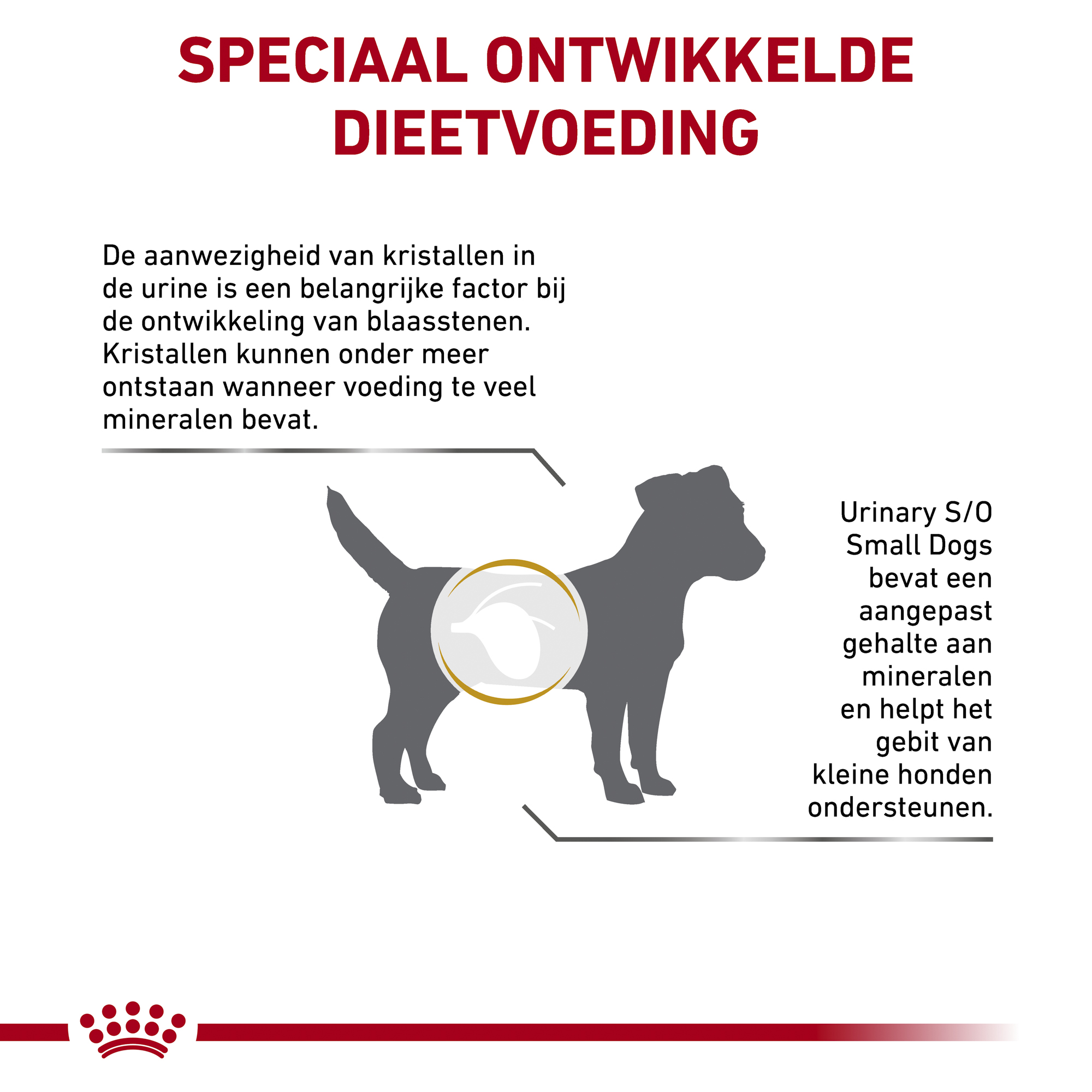 Royal Canin Urinary S/O Small Dog