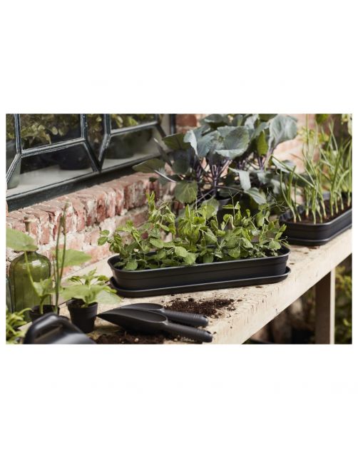 Elho Green Basics Kweektray Schotel Zwart - Kweekbenodigdheden