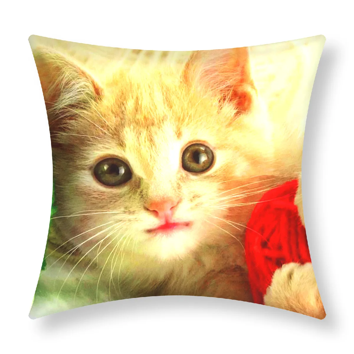 Housses de coussin AVIZAR - Chaton et pelote - 40x40 cm