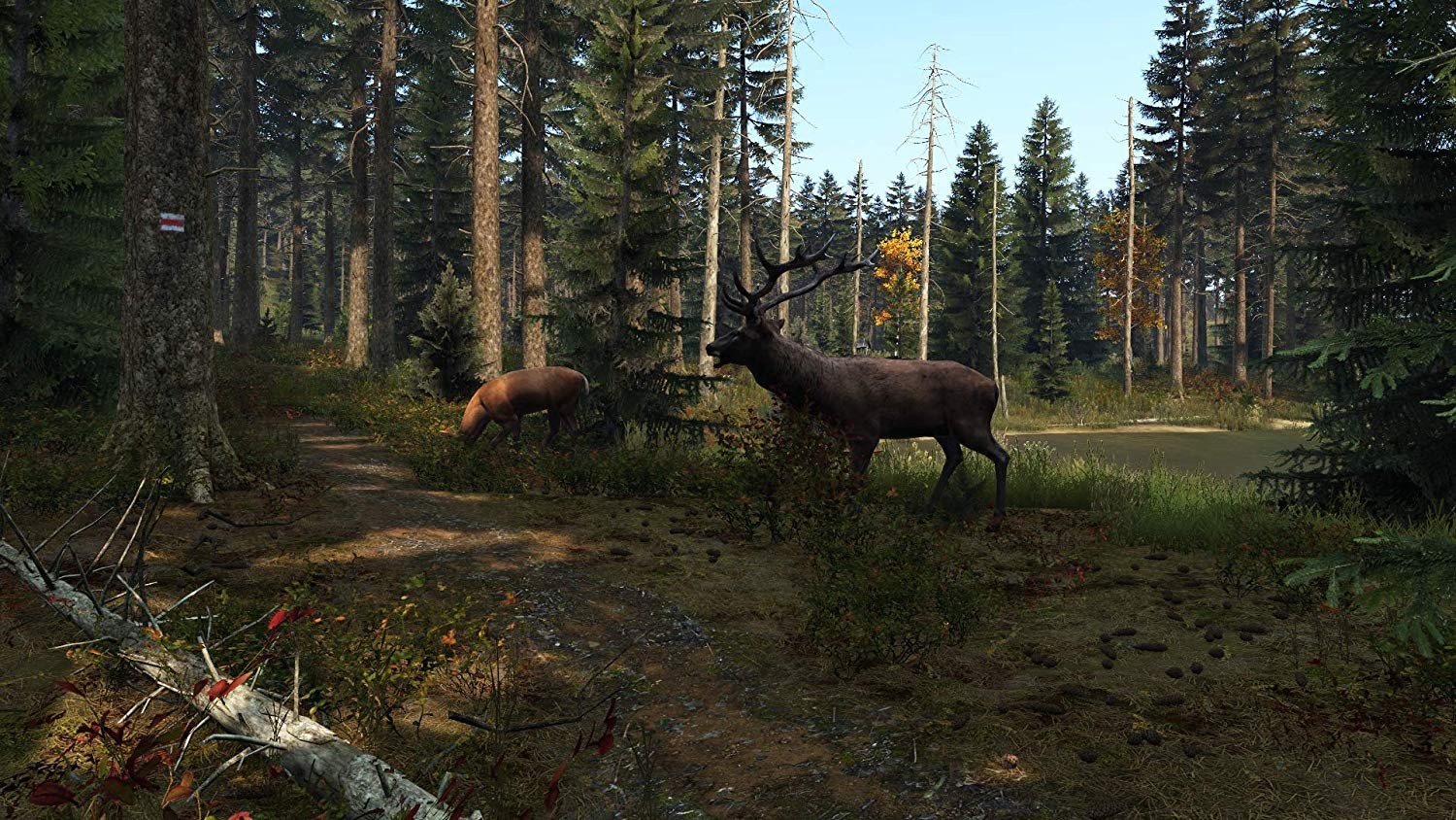 DayZ- PlayStation 4