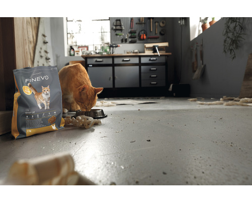 Droog kattenvoer FINEVO Senoir Kat Kip 2 kg