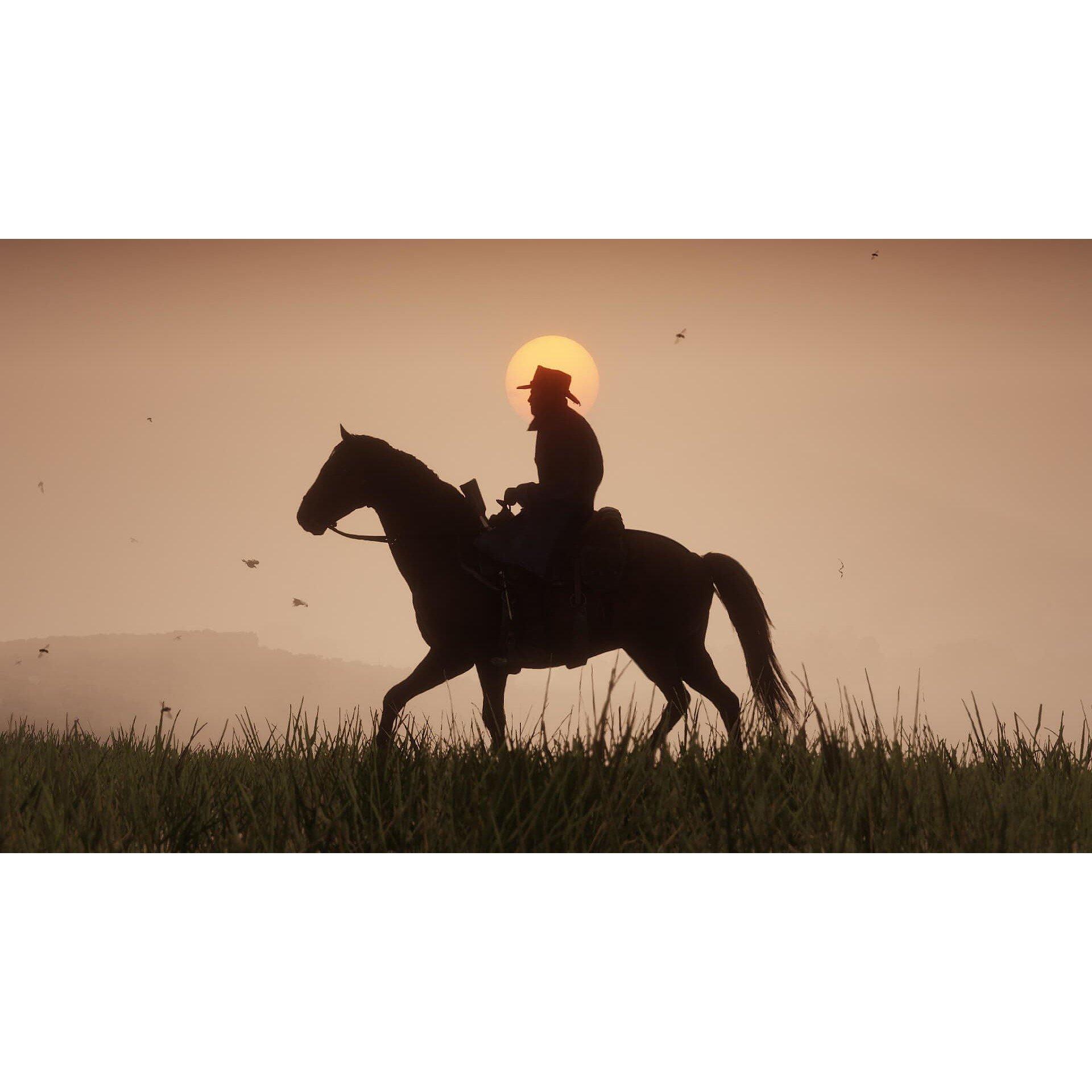 Rockstar Games GAME Red Dead Redemption 2