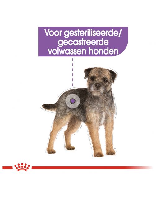 Royal Canin Sterilised Mini - Hondenvoer