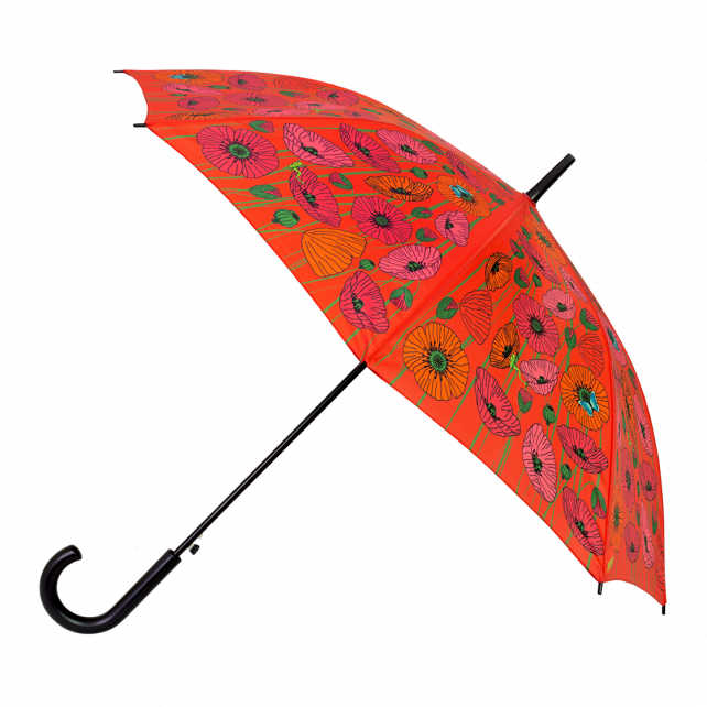 Parapluie - Rainbeau