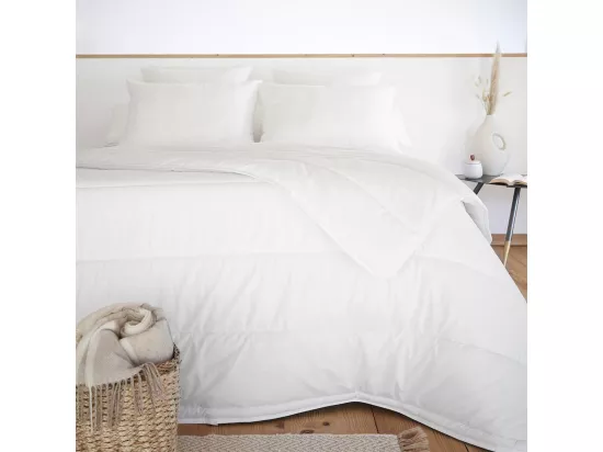 SOFTLINE - Oreiller Coton anti-acariens 50 x 70 cm