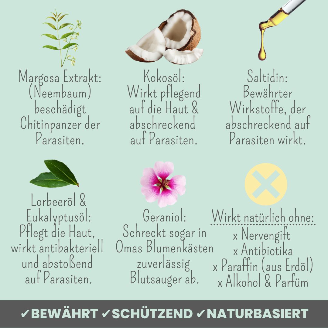 noms+ Zpot-on für Hunde gegen Zecken [Jahresvorrat], Flöhe, Milben & Mücken