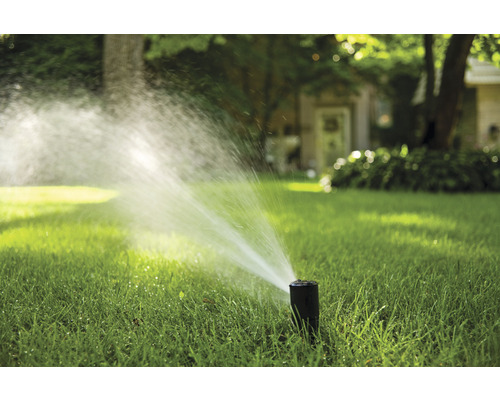 Professionele pop-up sproeier RainBird 42SA